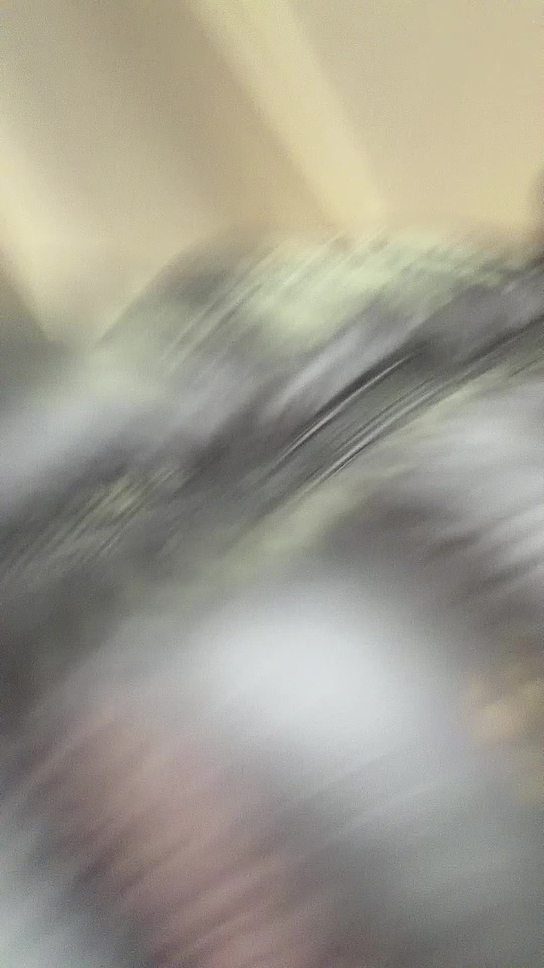 @Fezzoo10