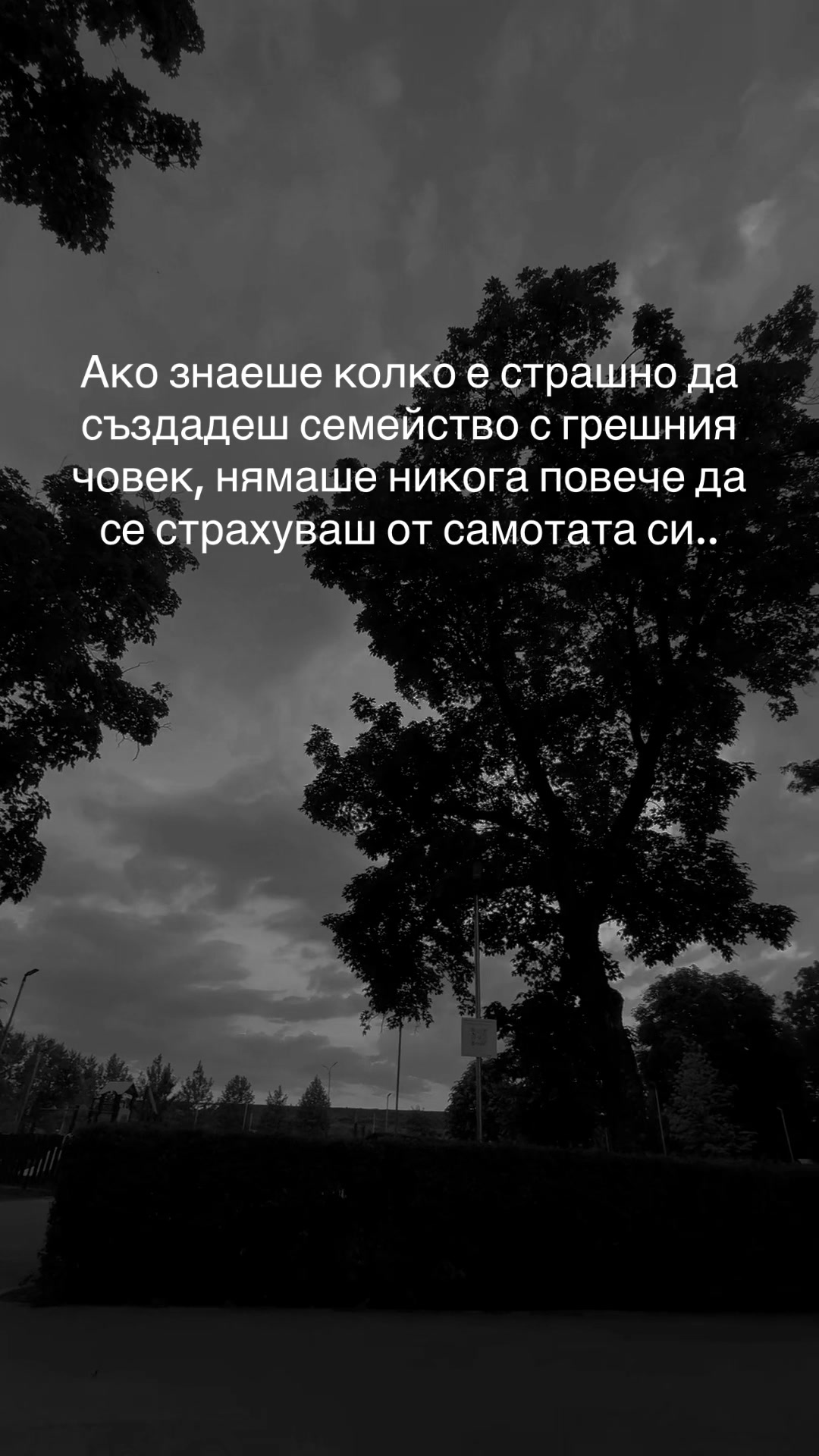 @IvkoVision