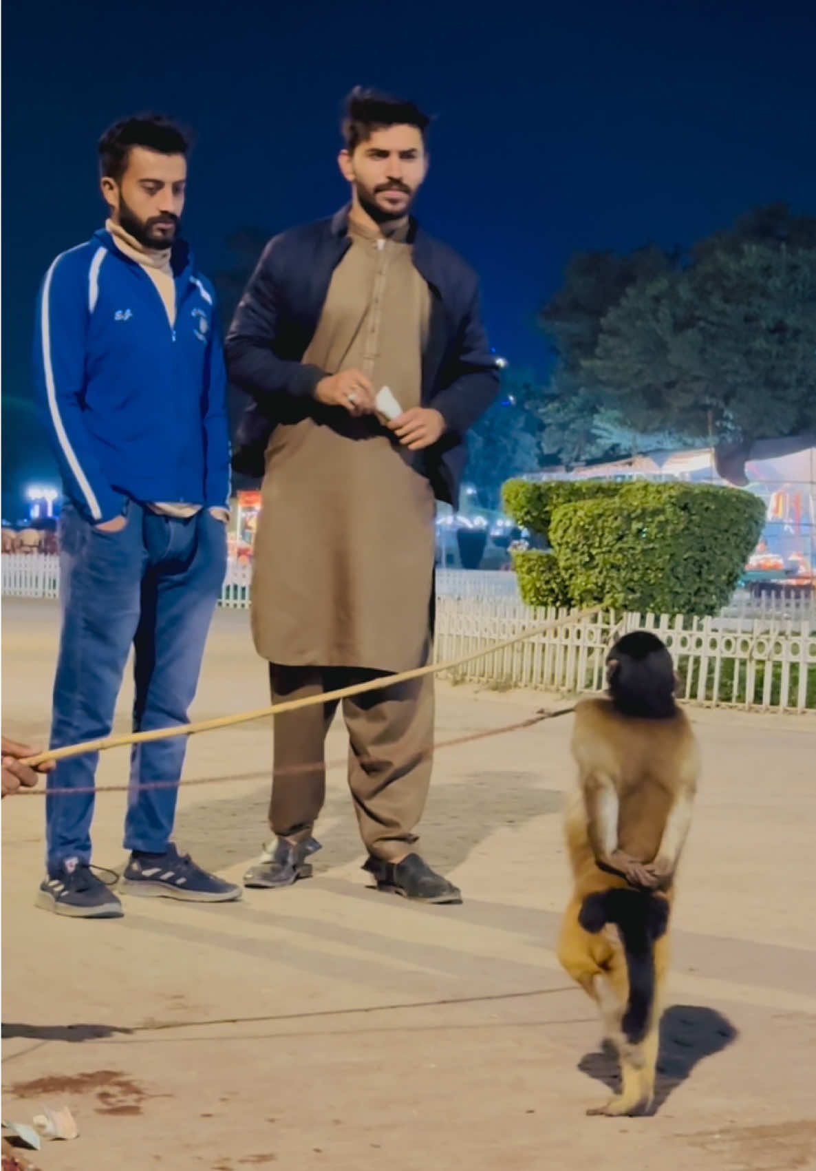 @ITS FAHAD KHAN🩵