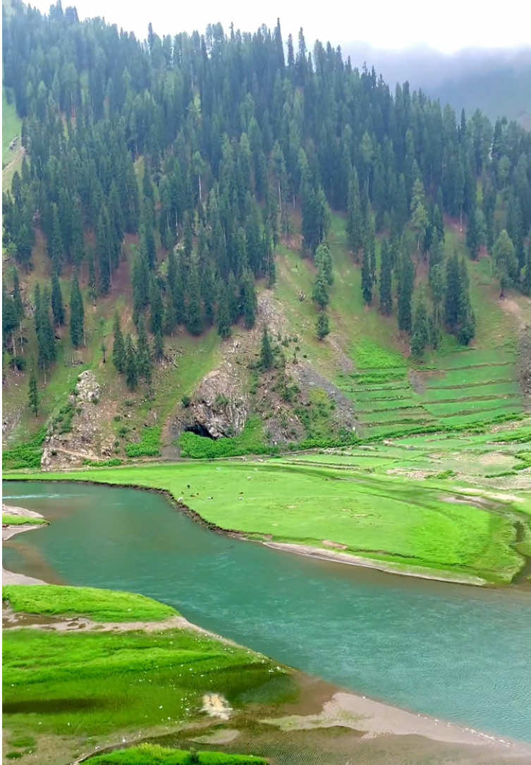 @Faisal (فیصل)