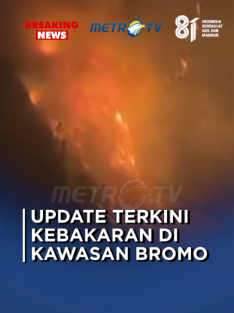 @Metro TV
