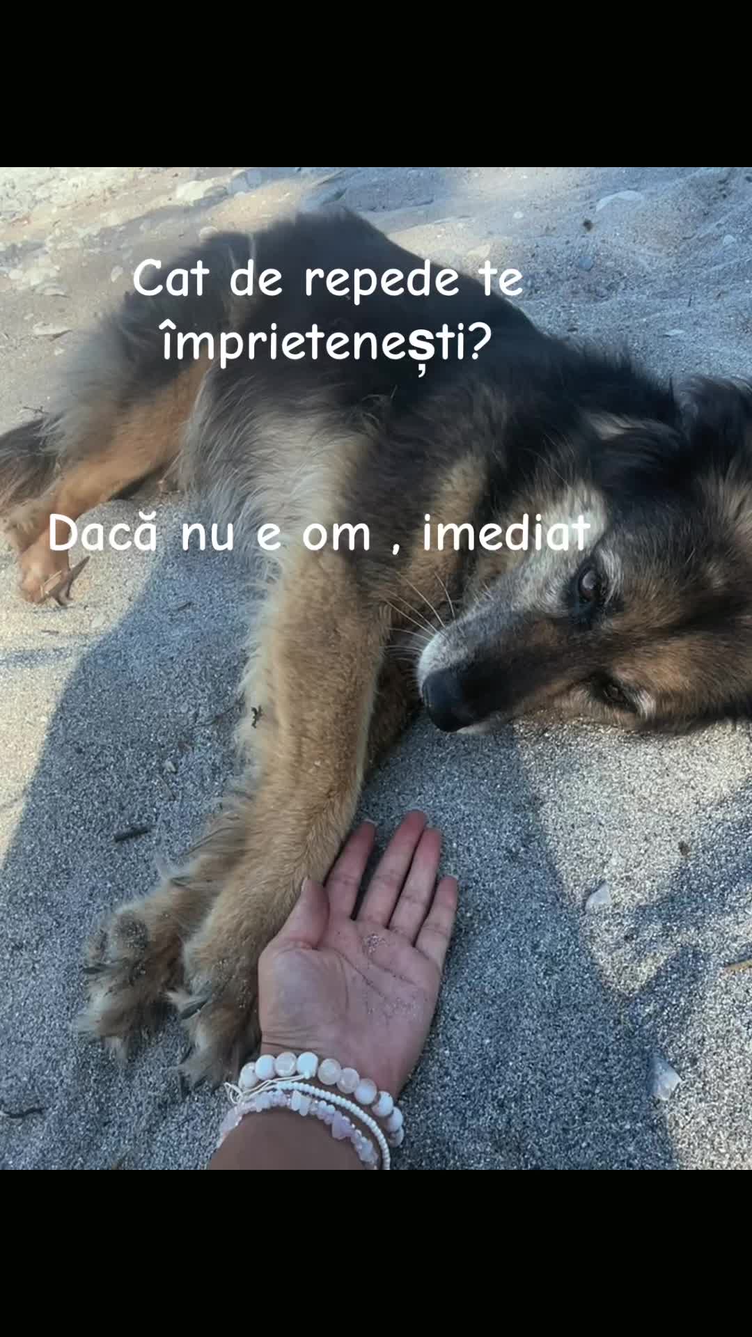 @alina.bnd13