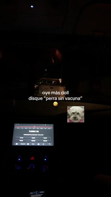 @ⱮìçհҽӀӀҽ~🐩🫦