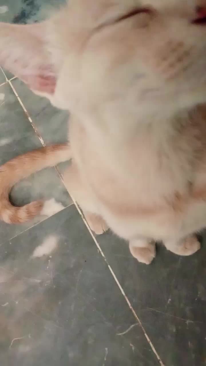 @cutecatlover8172