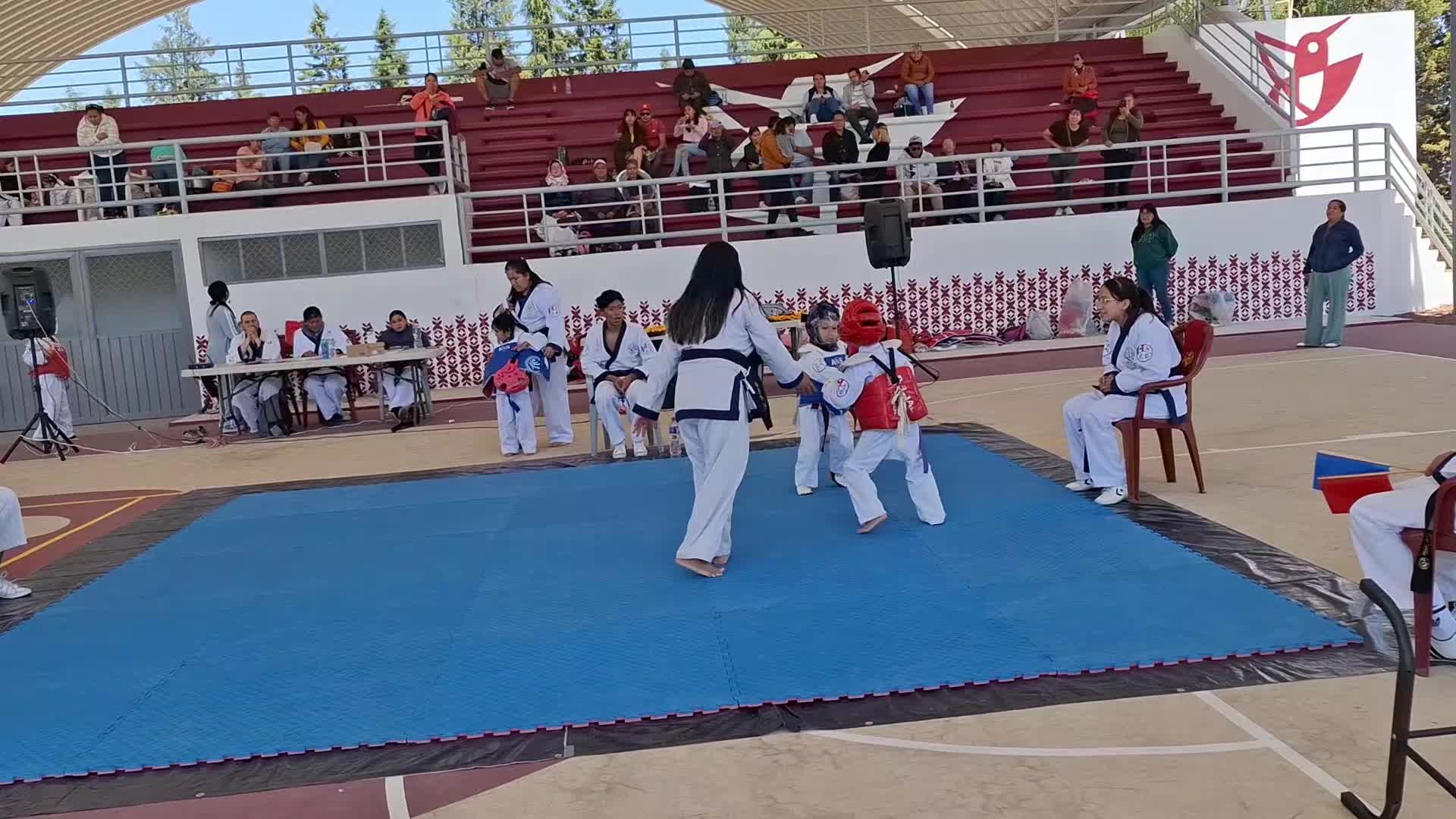 @Rosario G&oacute;mez578