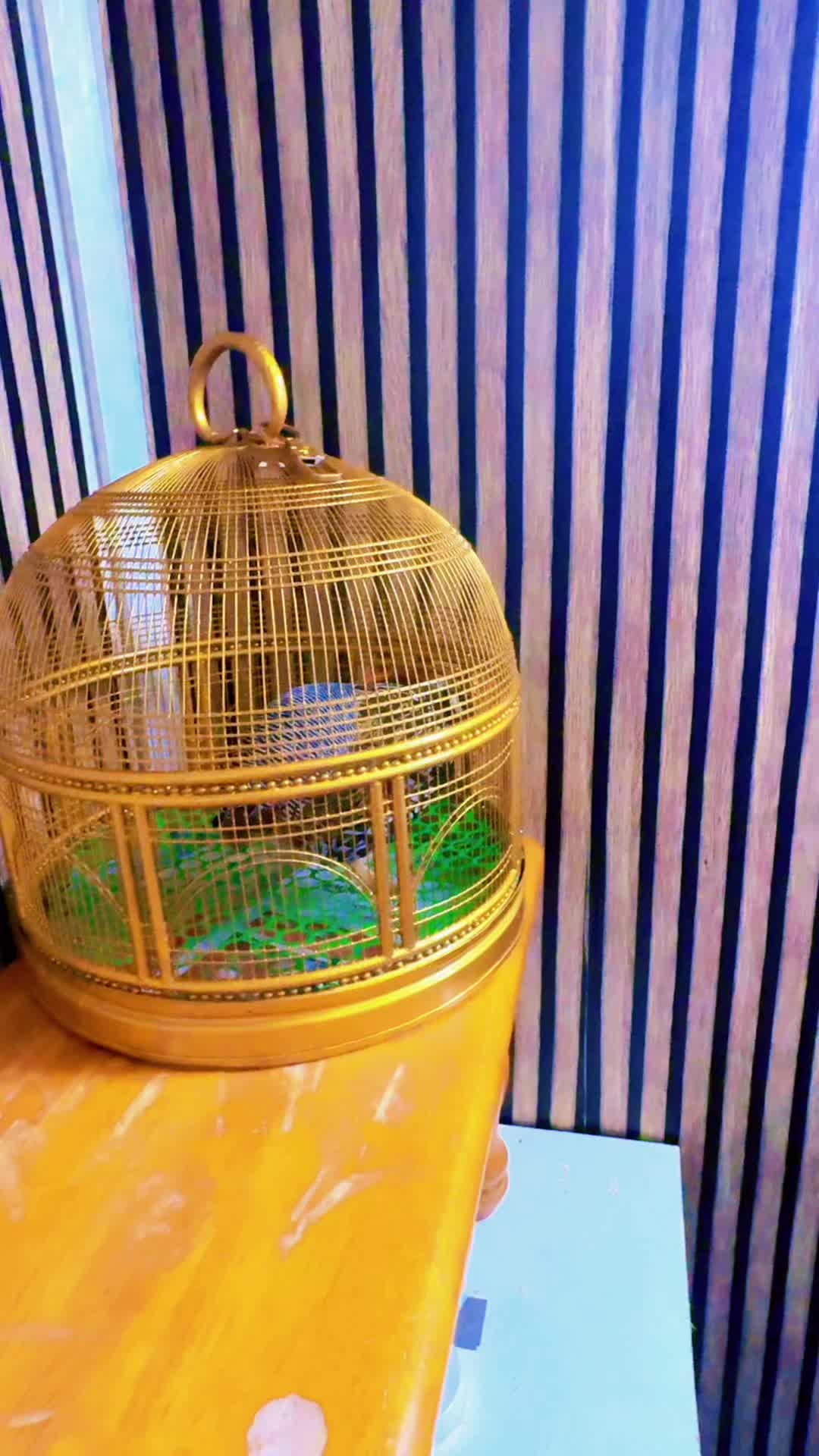 @Chaudhry Farooq