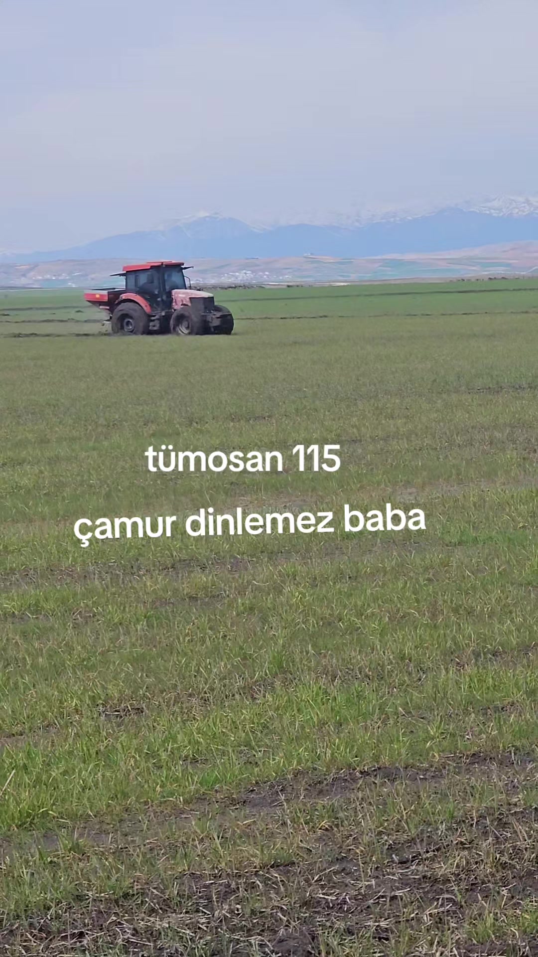 @Suat Zengin