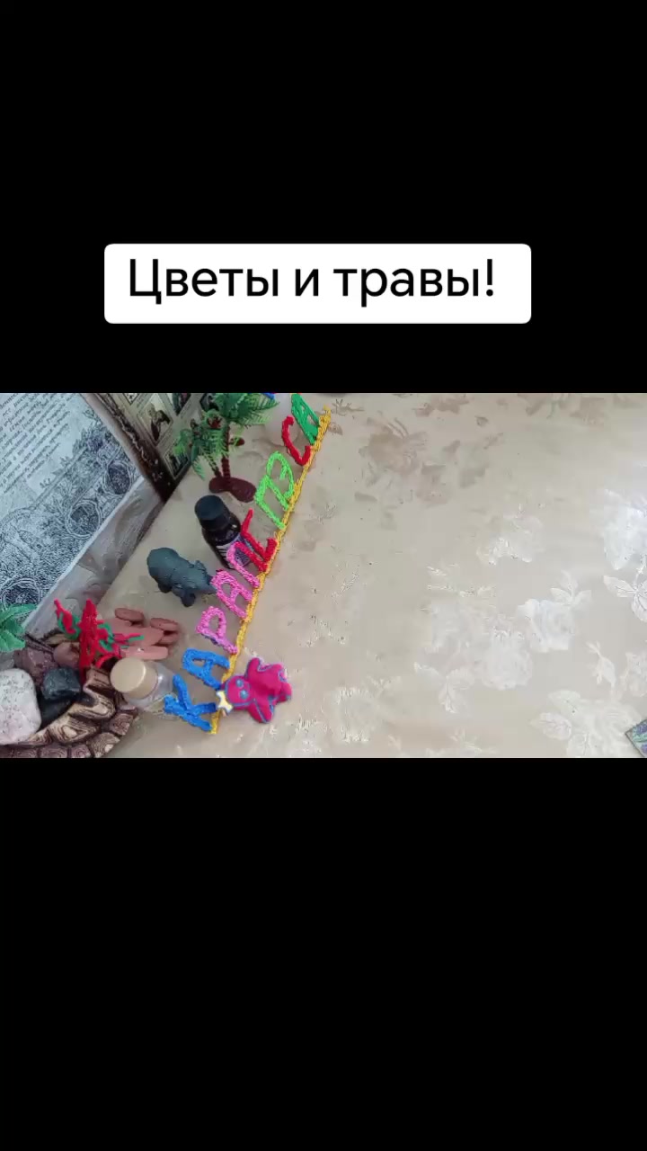 @Каралепэска9314
