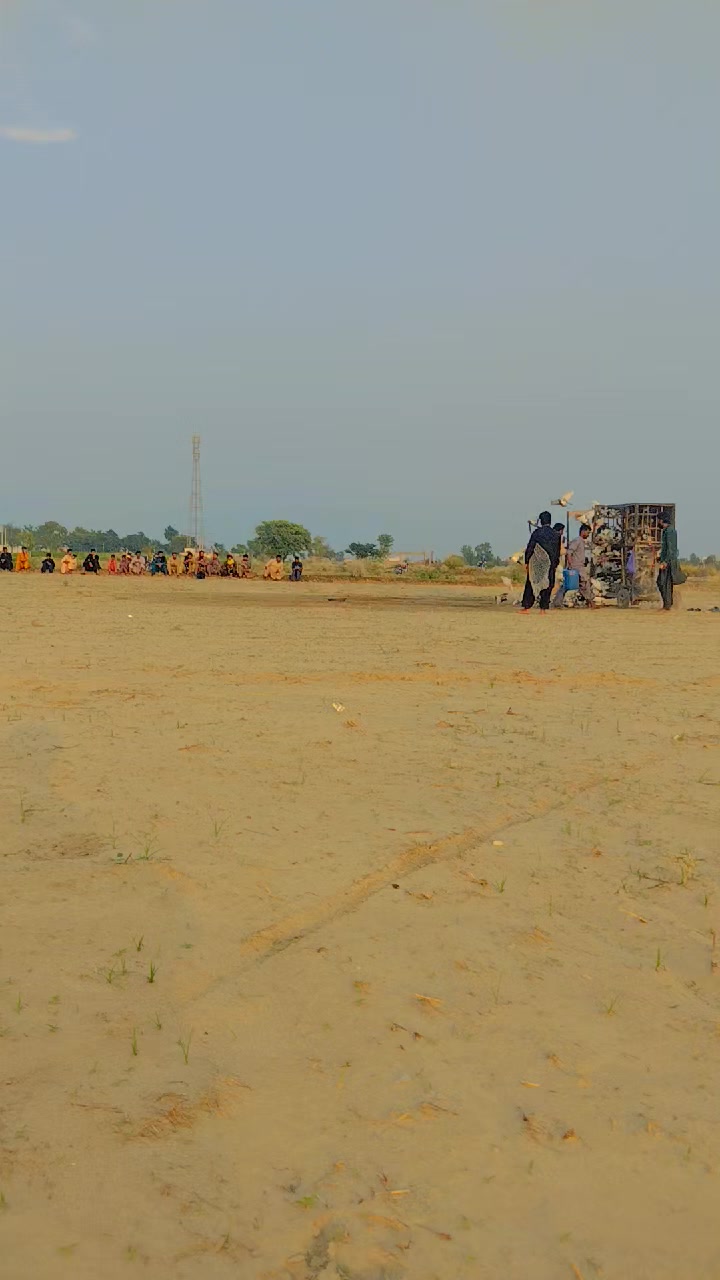 @عدیل رحمن لیہ وال کبوتر باز