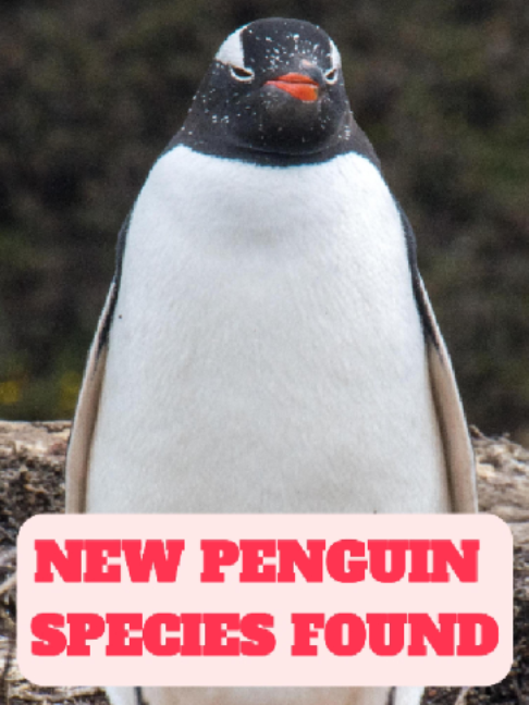 @WildlifeWonderTV Animal Facts