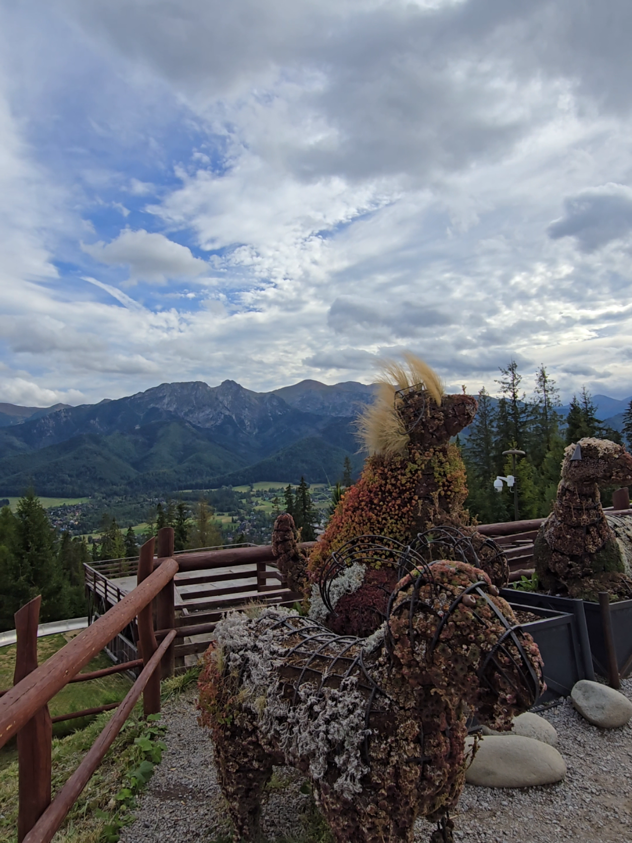 @Lovadi Jozsef☕️ 🗻 🏍