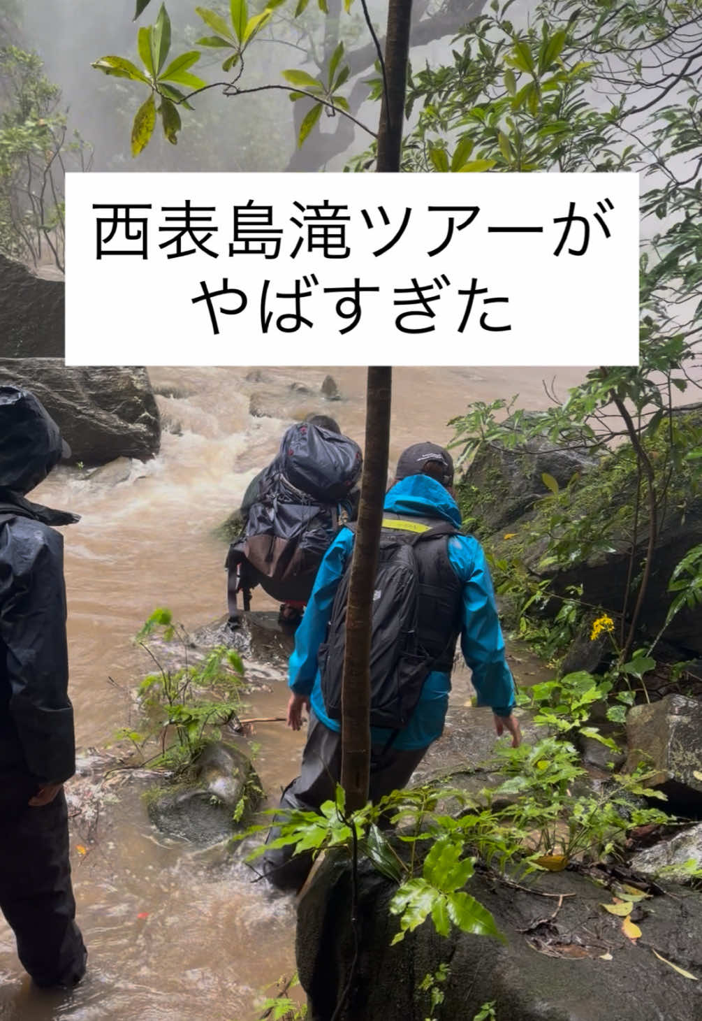 @りい.ᐟ