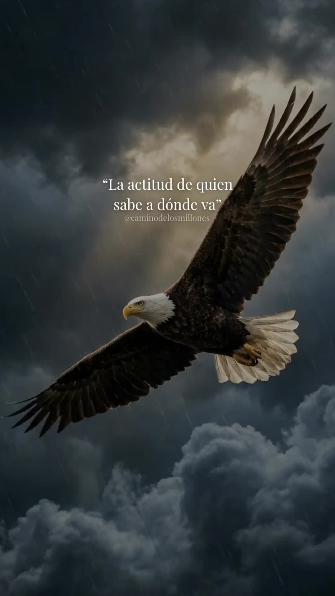 @caminodelosmillones