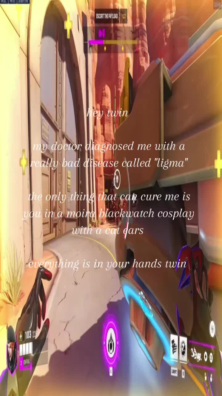 @enfal | CEO of moira simps