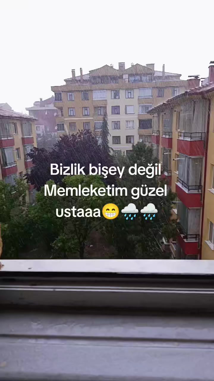 @🦂 GÜNEŞ 🦂