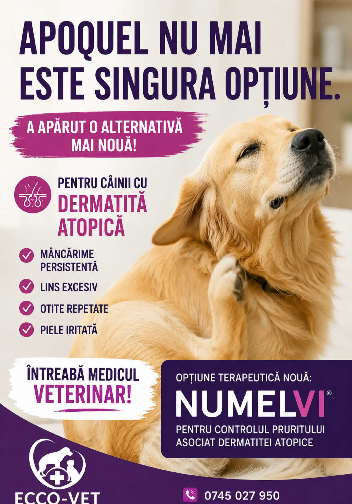 @Ecco-Vet by Dr. Diana Oprea