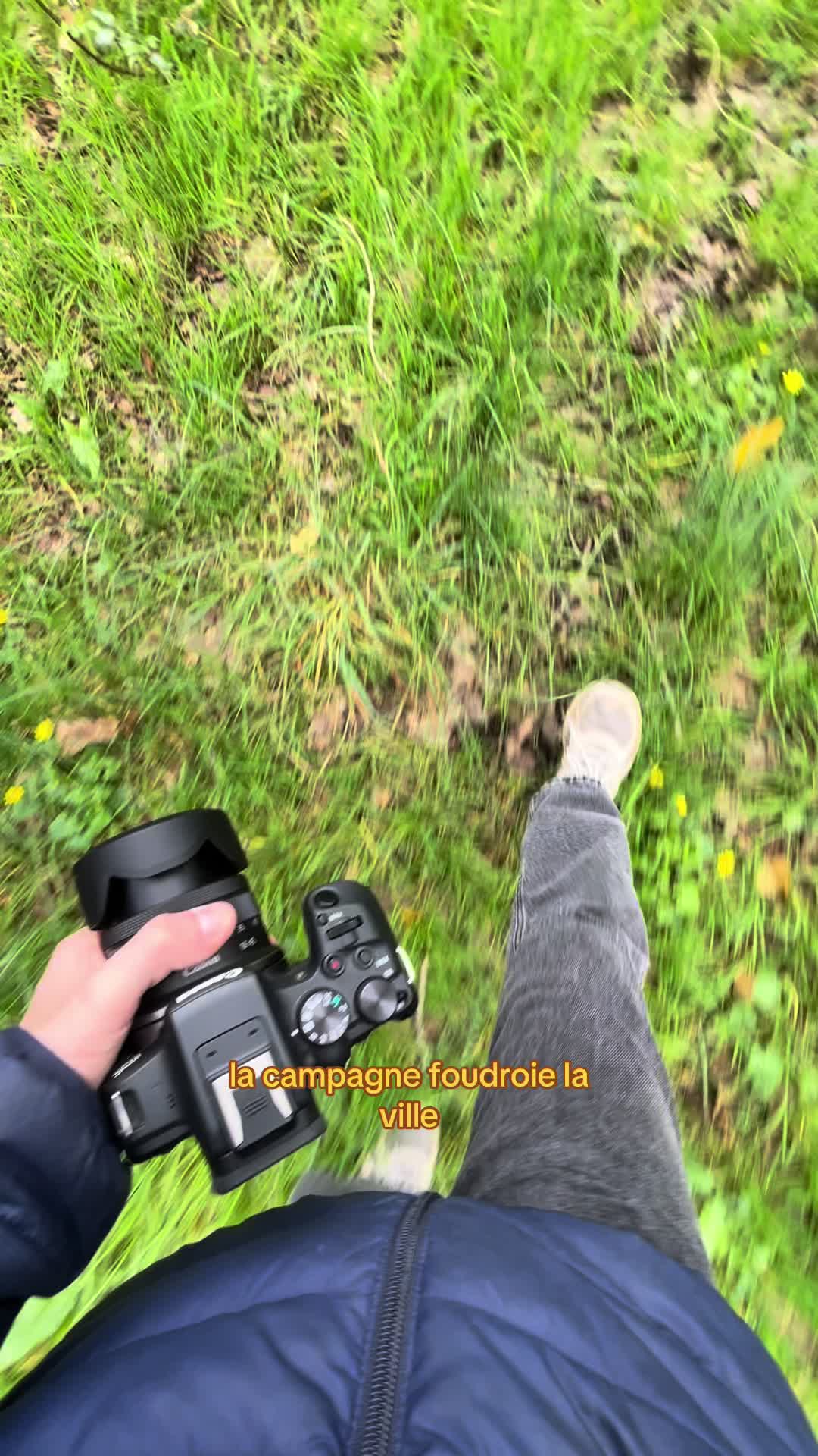 @No&eacute;_frch