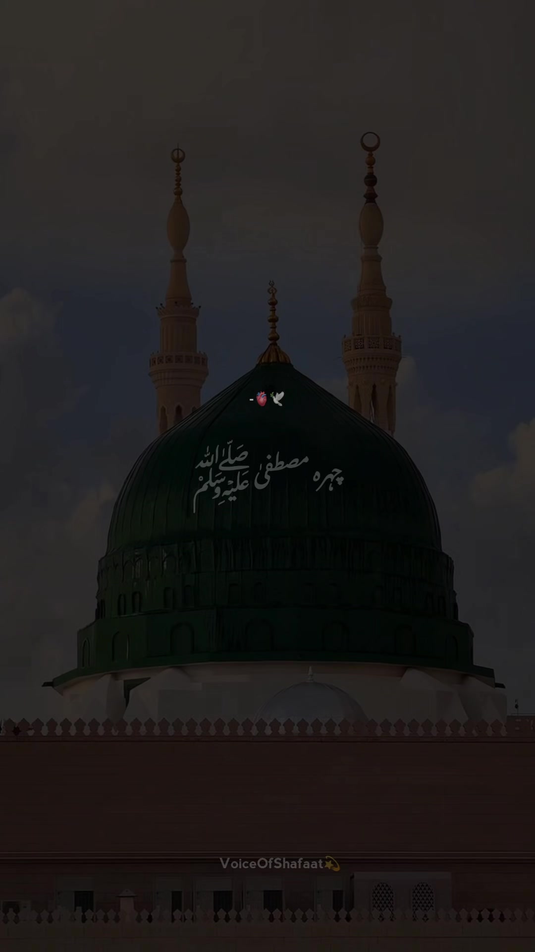 @VoiceOfShafaat💫