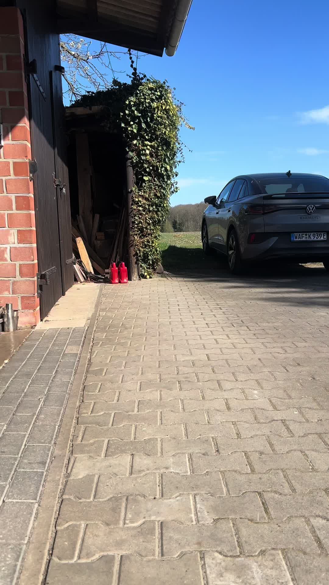 @felgen.fuzzi