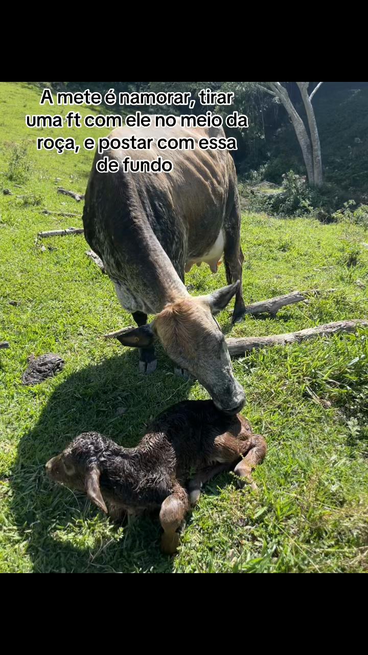 @Vitória