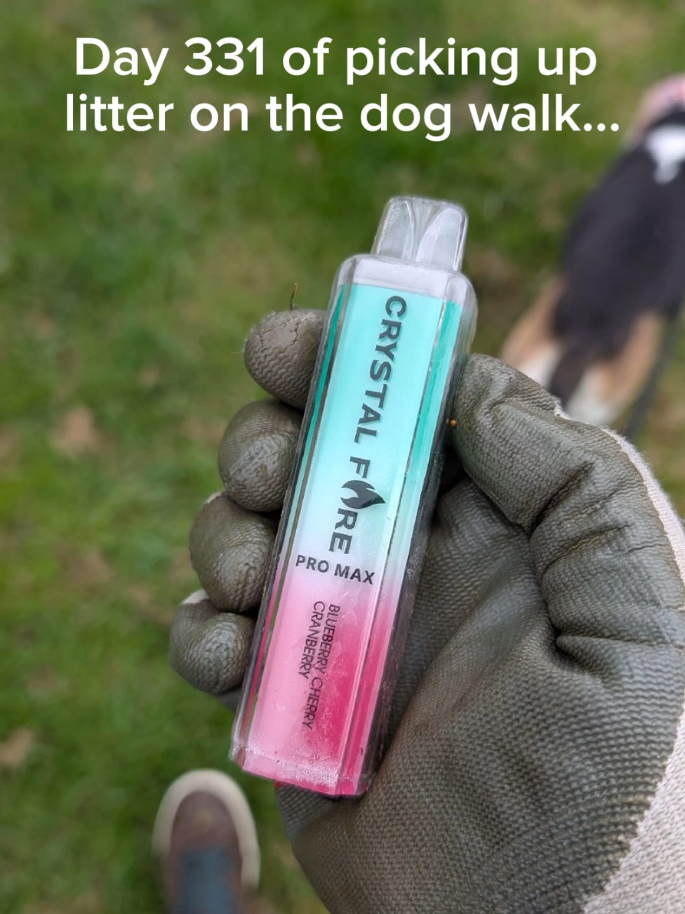 @LitterWalkiesWithRu