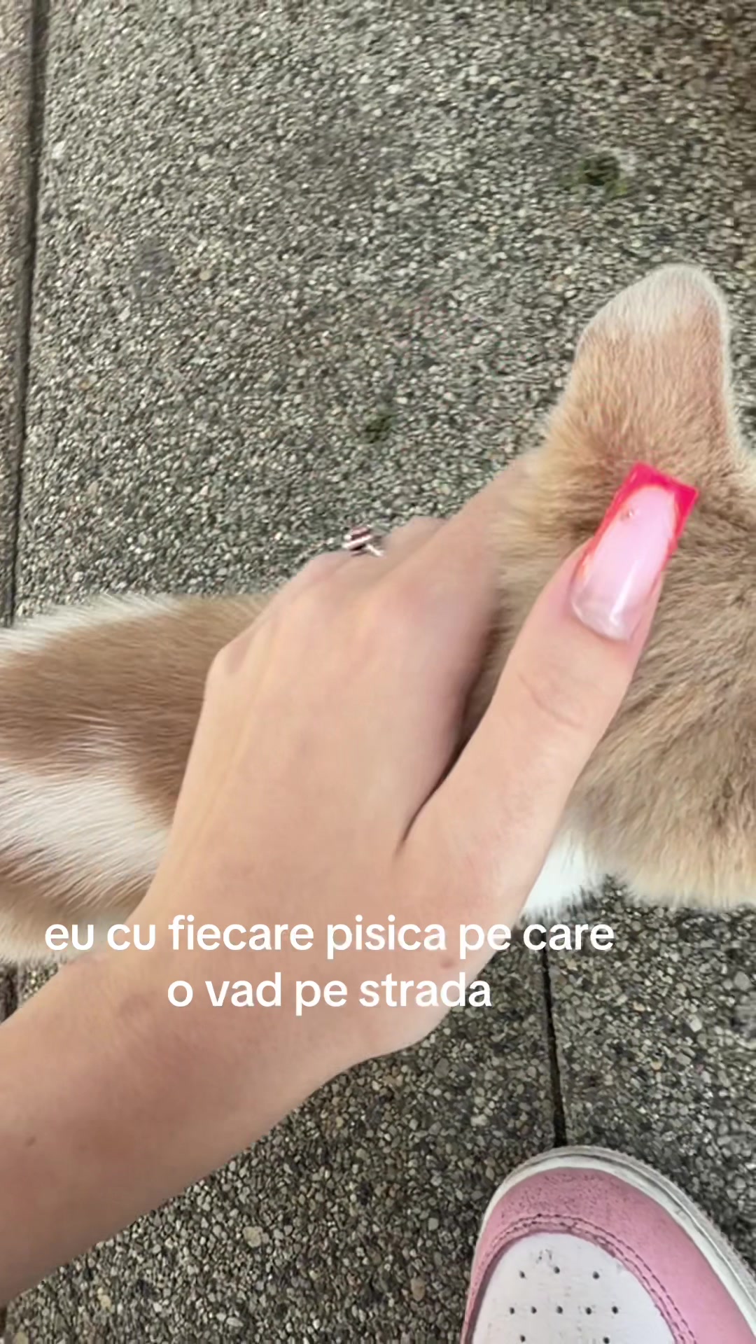 @denisa🔪