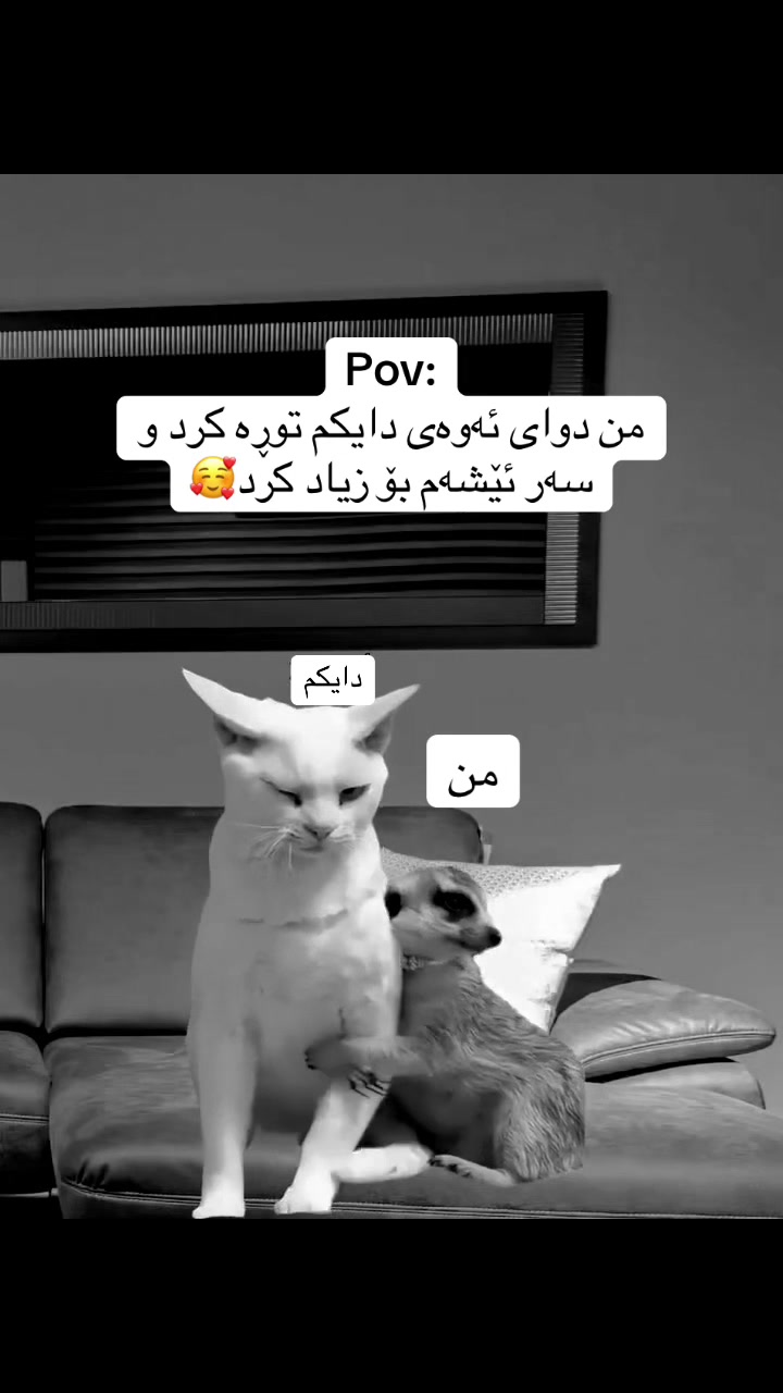 @ꪀꪖᦔꪮ🩶/﮼نەدۆ