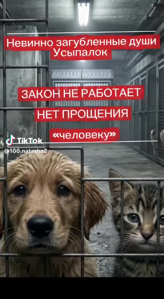 @Julia/Арсения!!