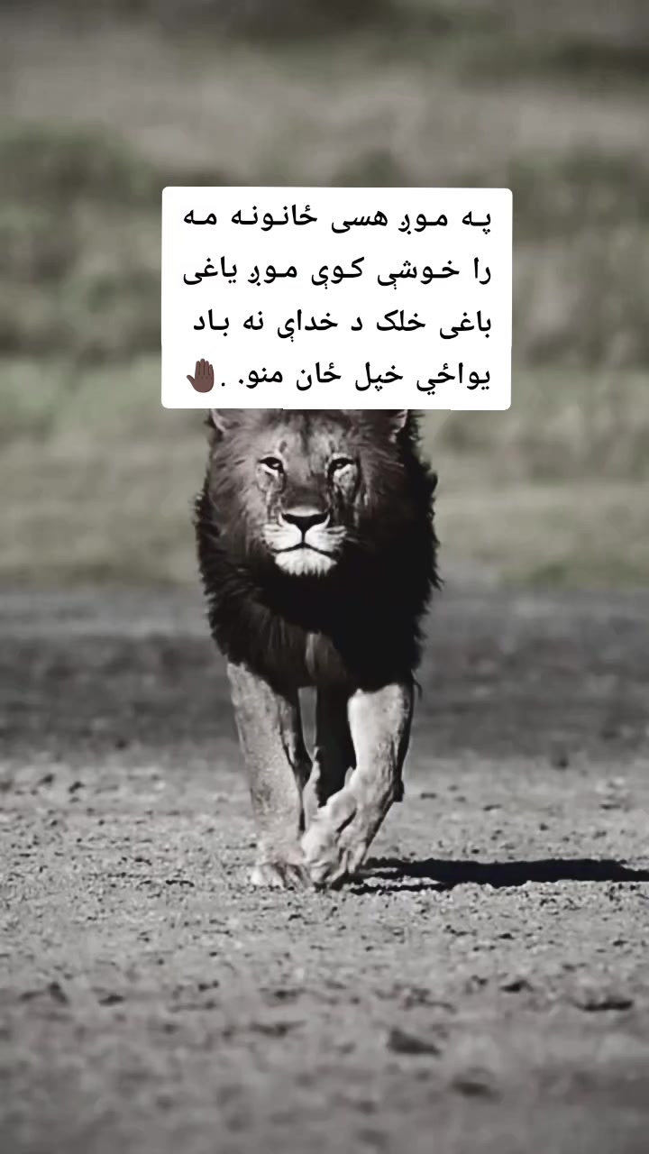 @ཀོ لـیــونـͫــͣــͥوو ཀོ