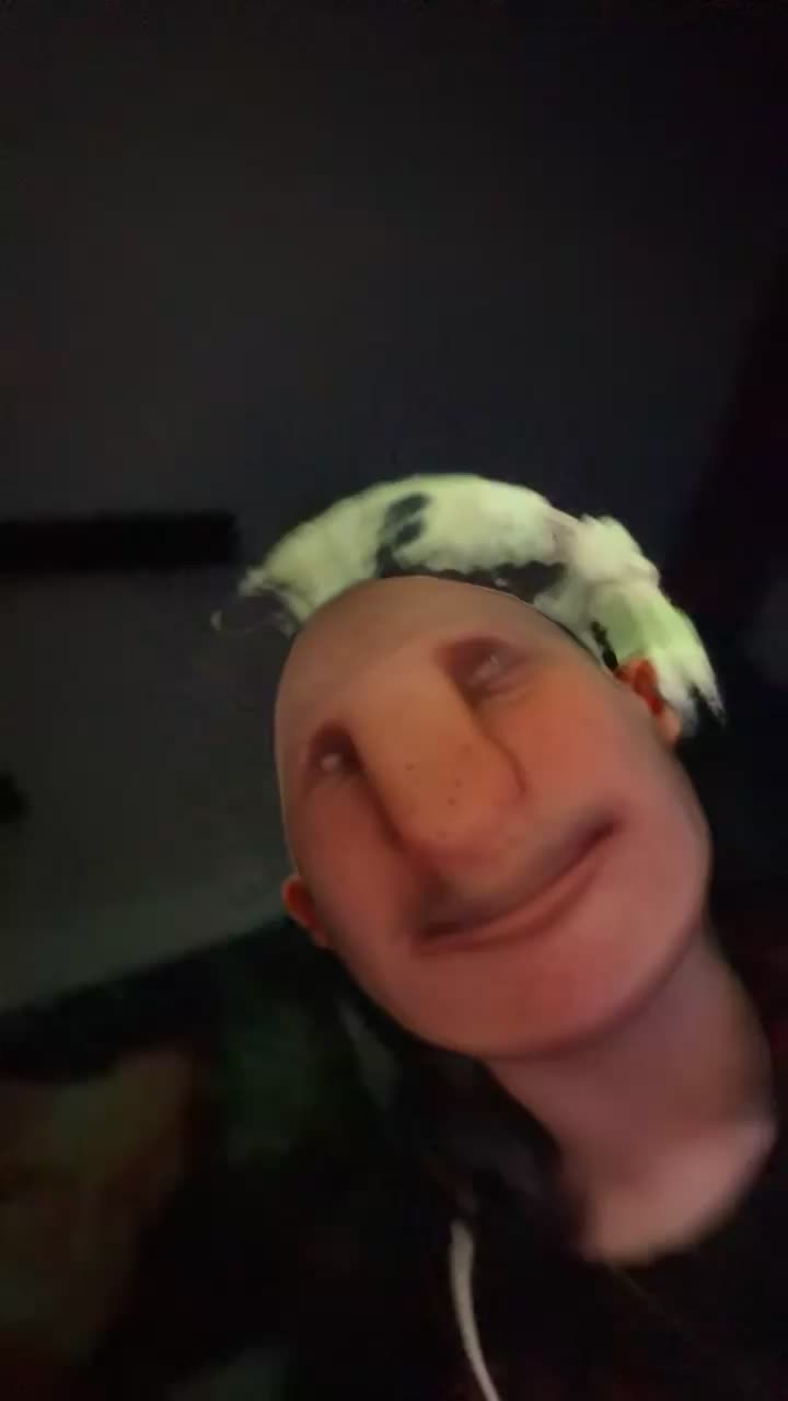 @Ass Clap