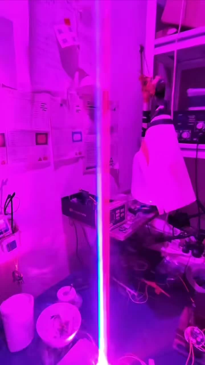@Sunglad Lighting
