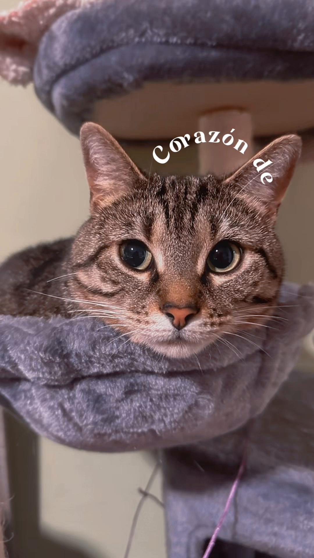 @myzargueta