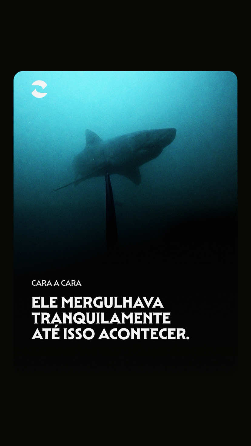 @Revista ZOA