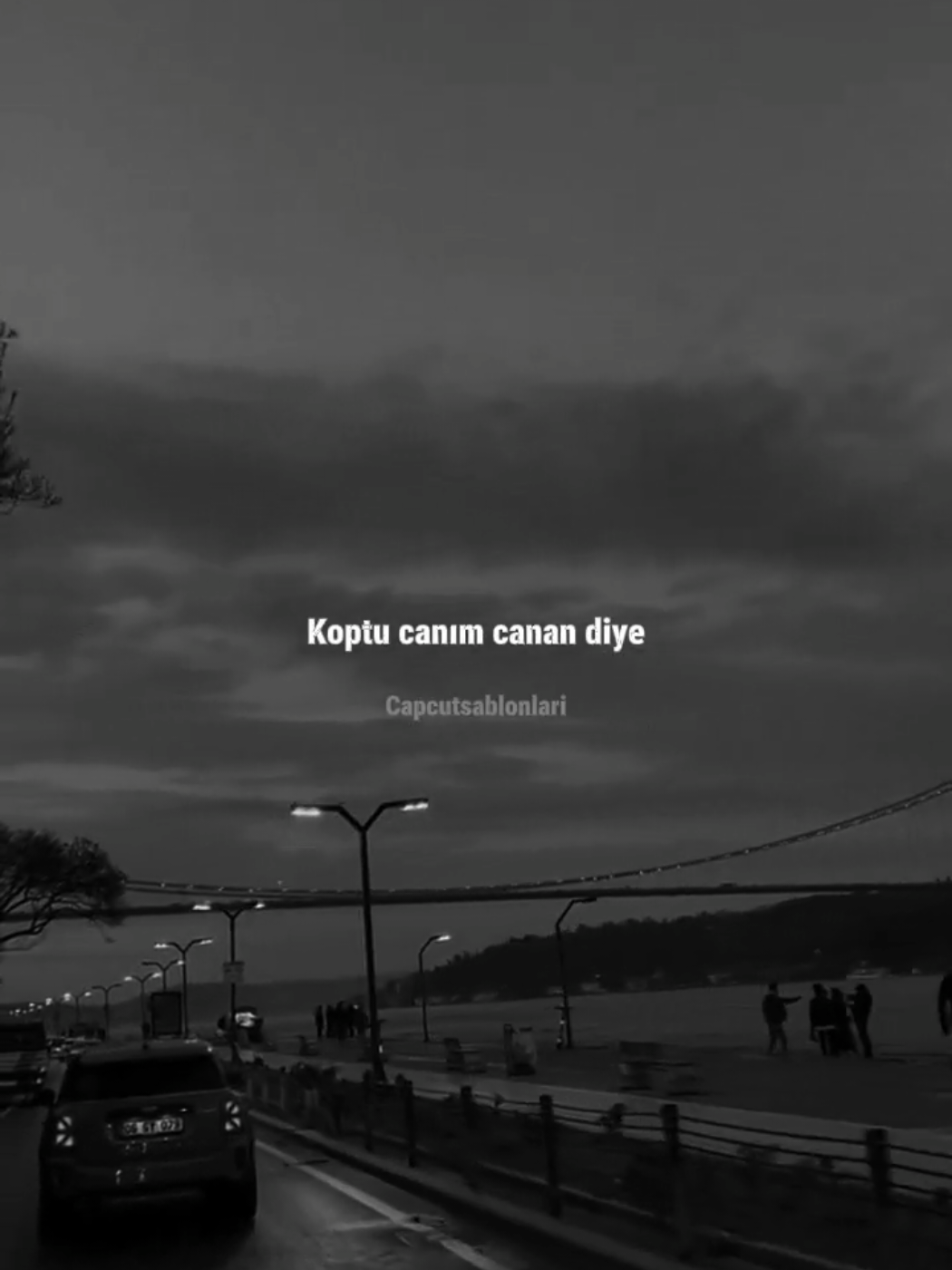 @Capcut Şablonları