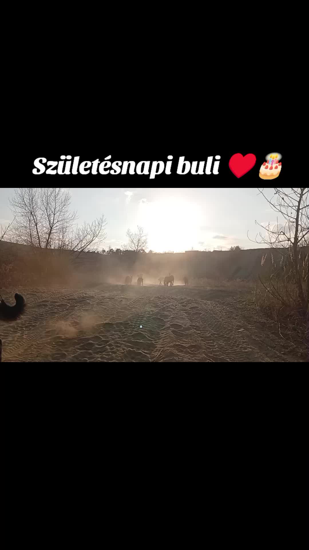 @Zelena Katalin :: Ame du Loup