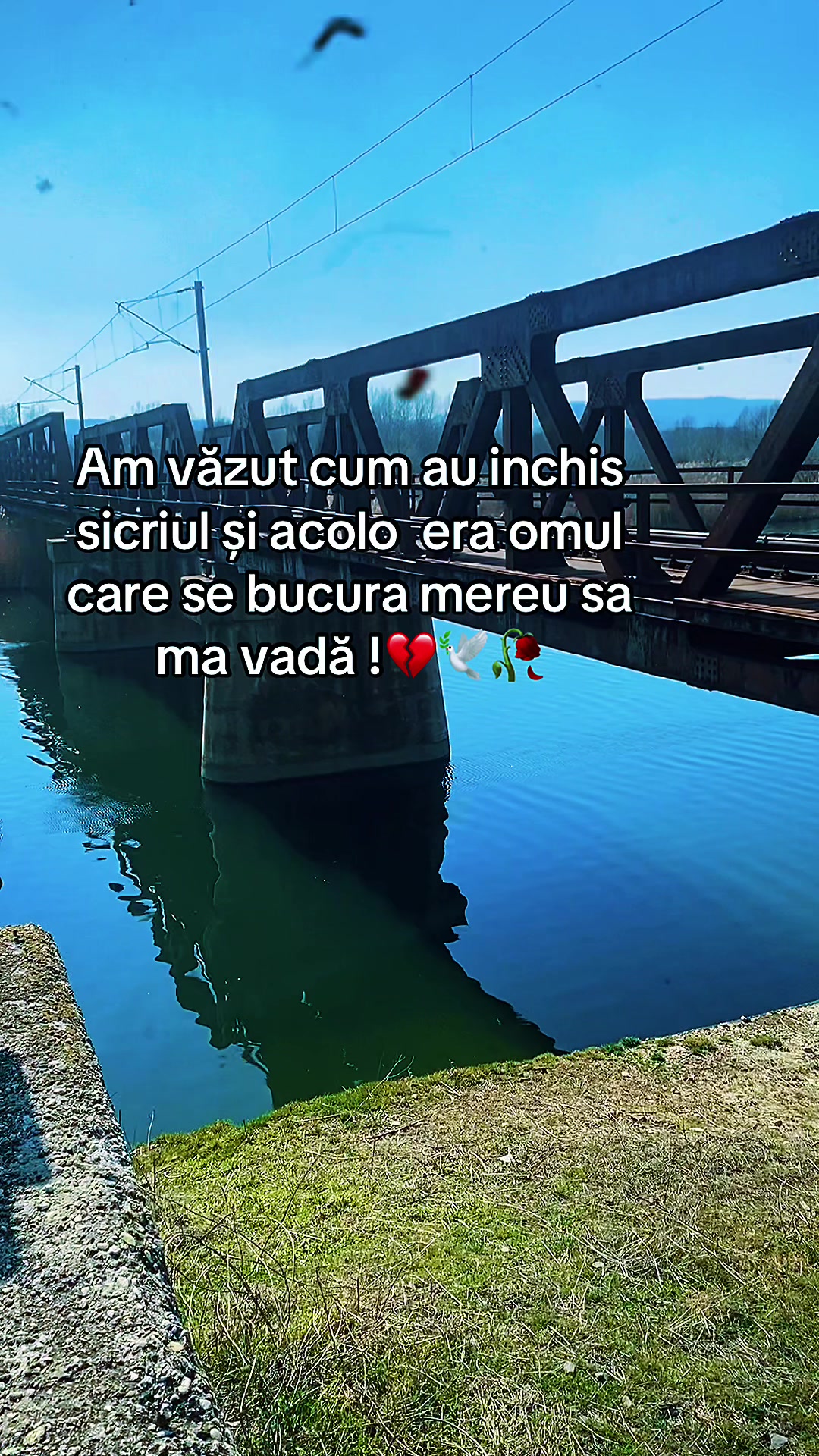 @Giorgi Daniela