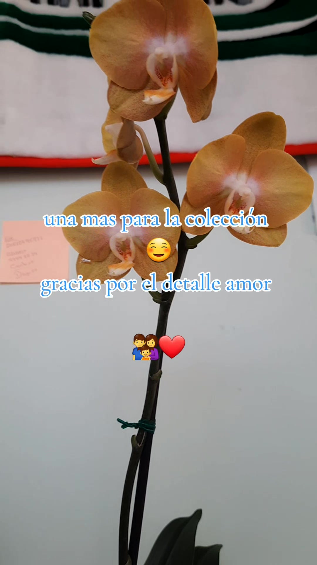 @vale💫❤️