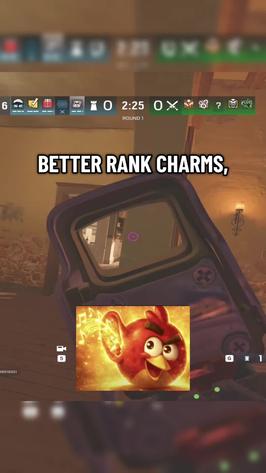 @Pug R6