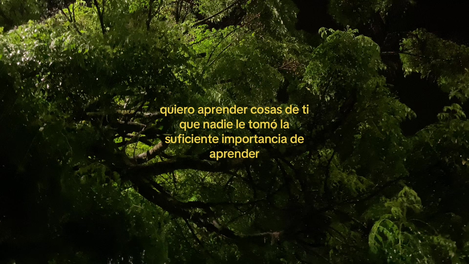 @Snayderfrank_