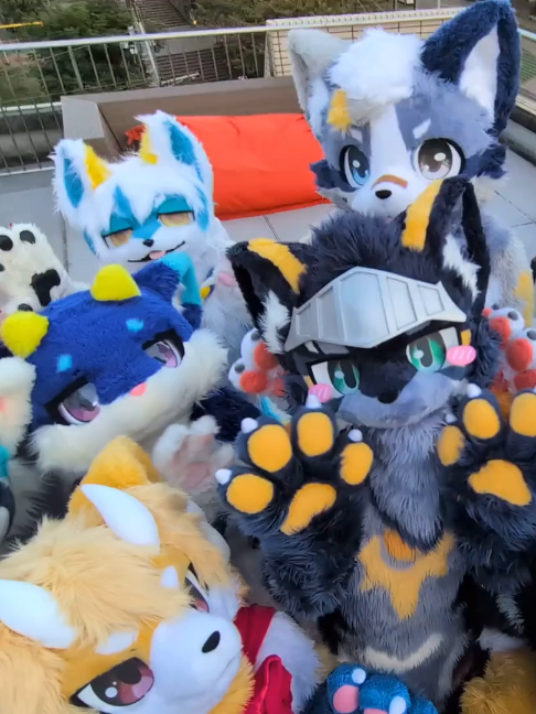 @radywolf