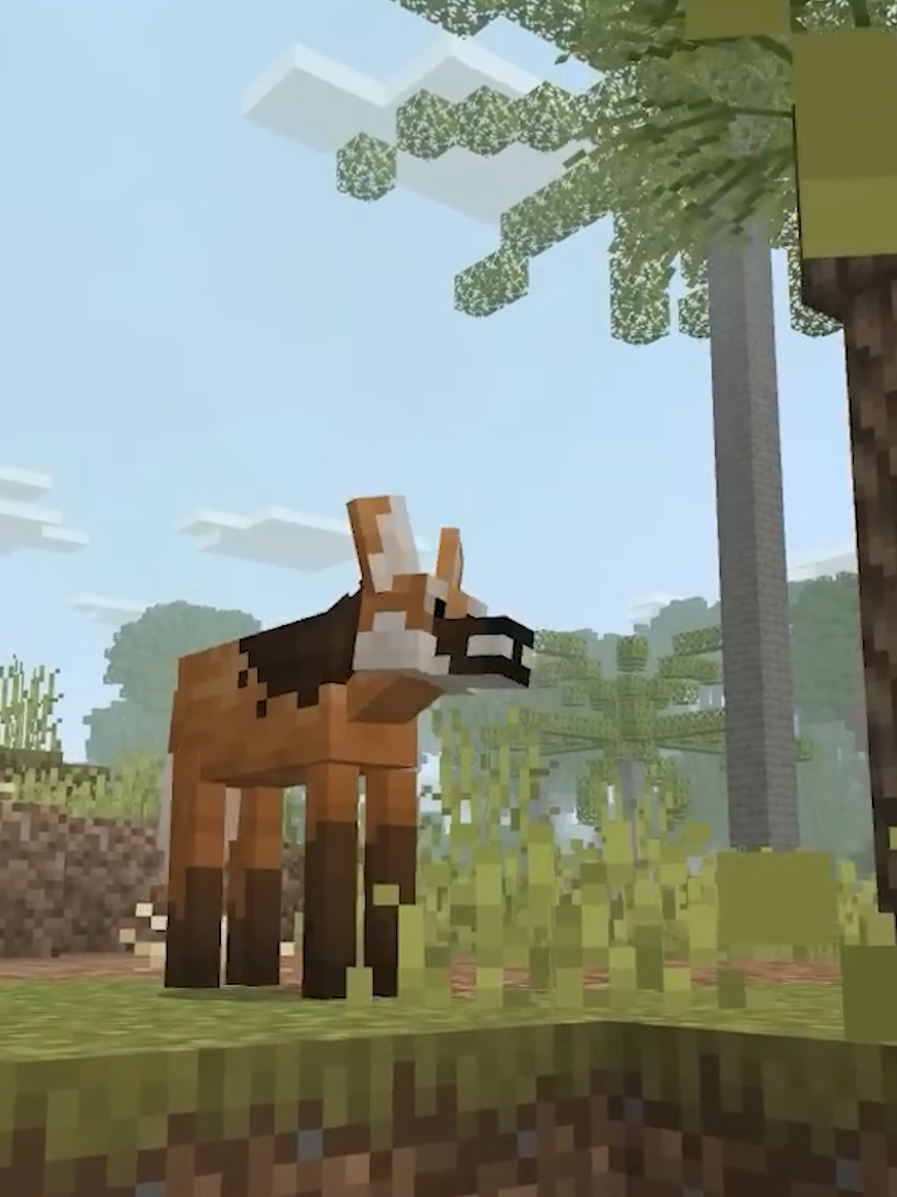 @CompyCraft