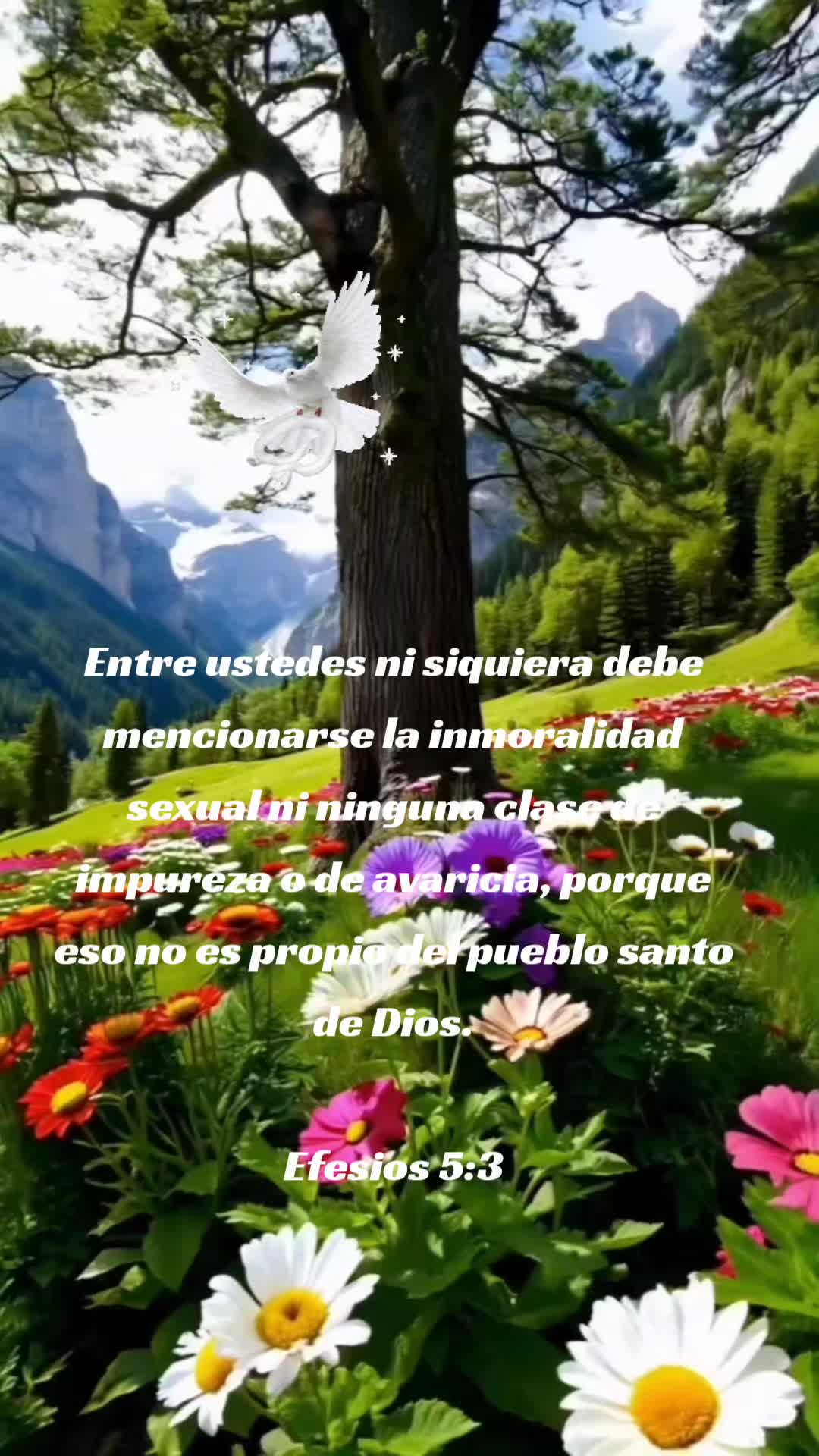 @Mensajes bíblicos