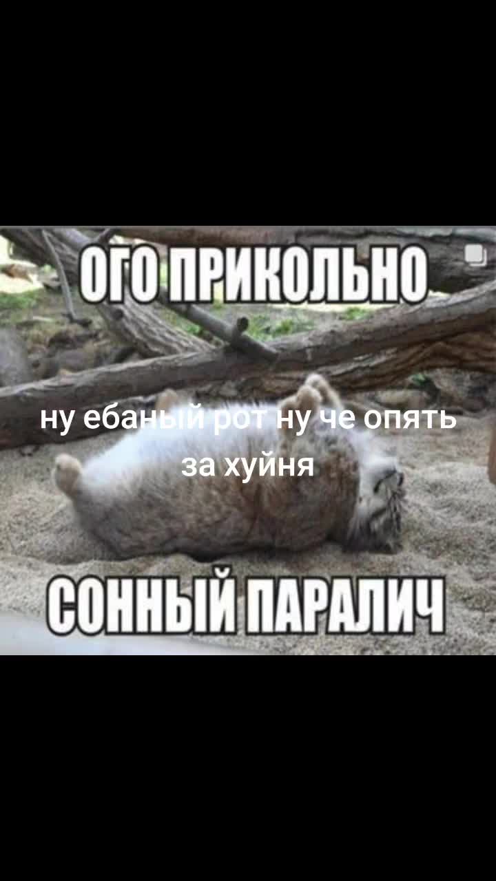 @1619