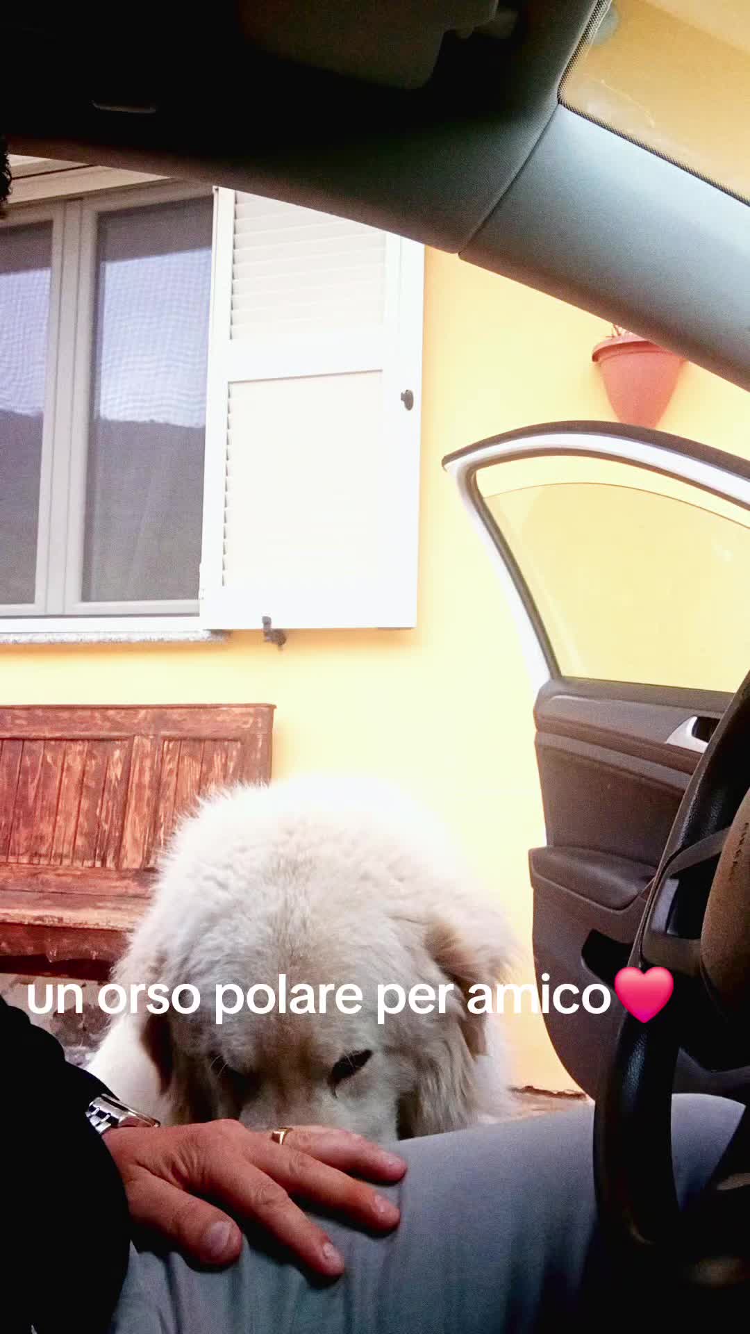 @Gabriele Rossi