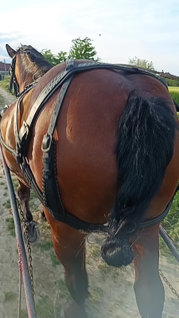 @Cristian Mihaila355