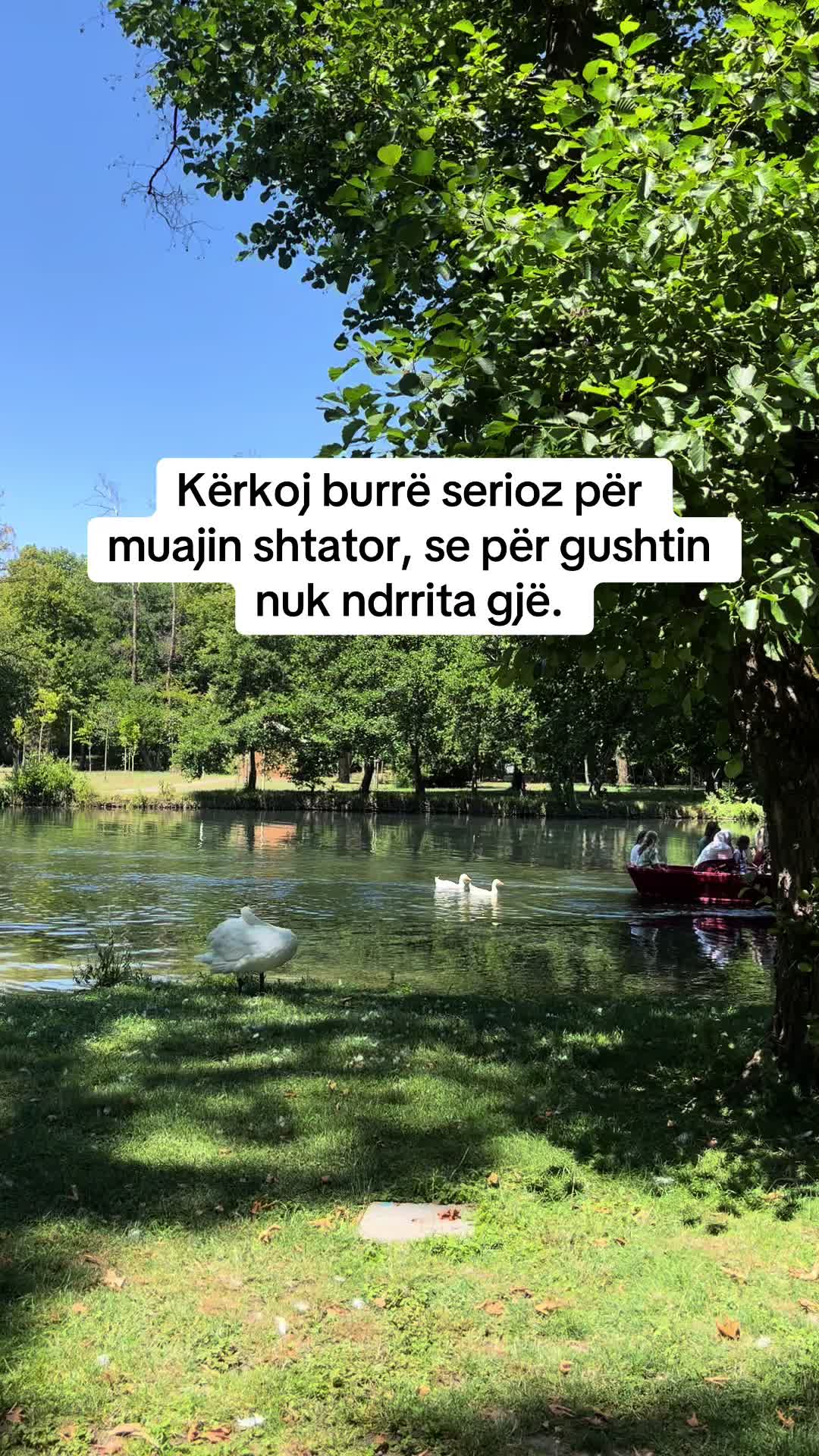 @eni_21s