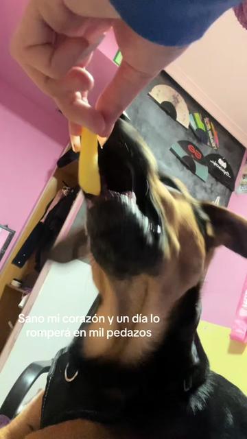 @nuuria😘