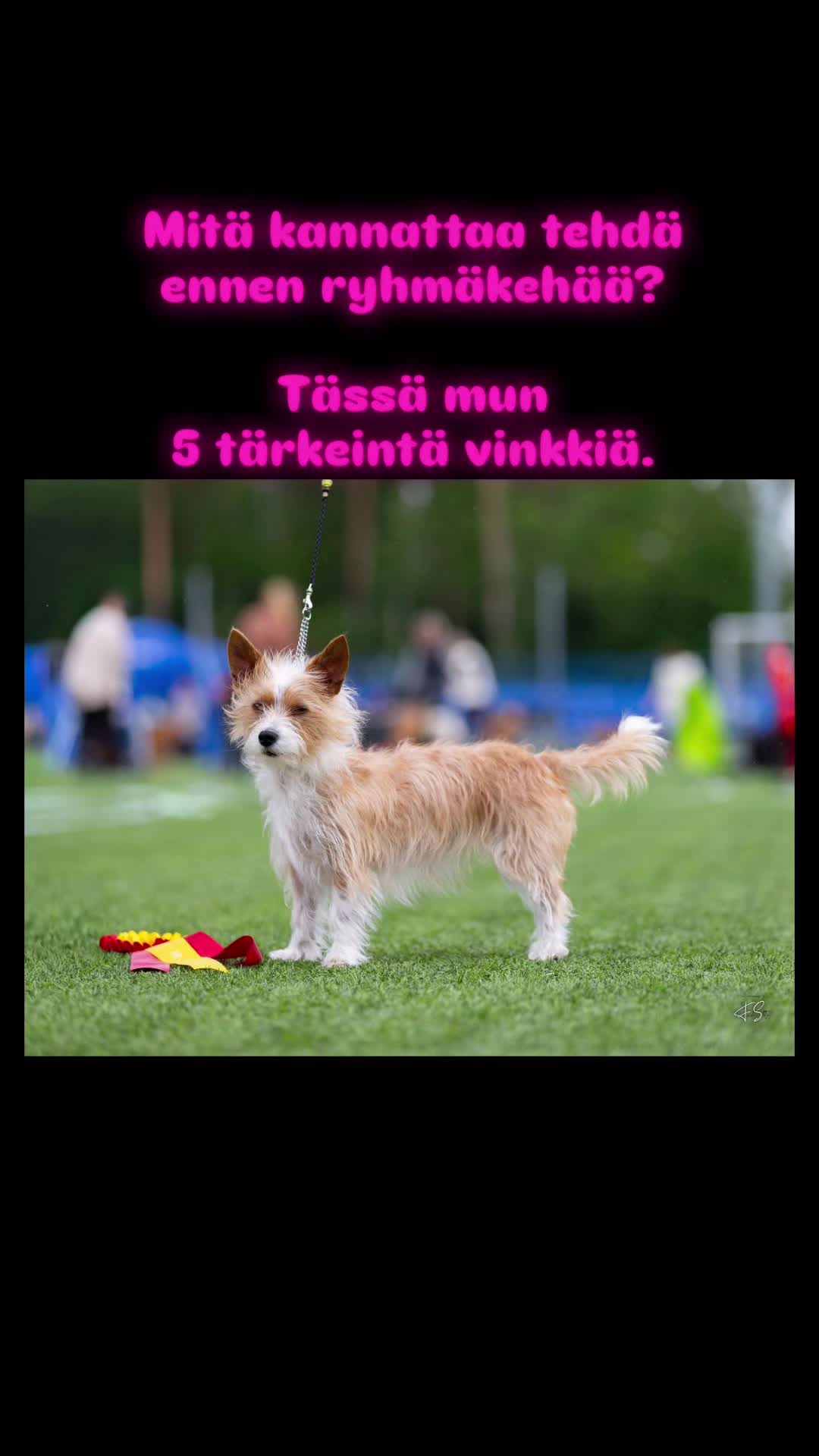 @Erja