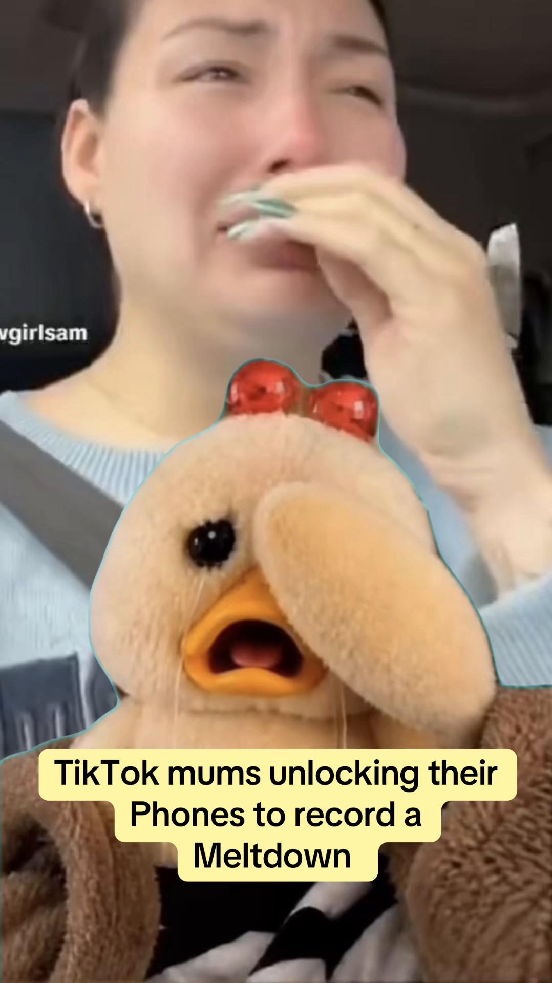 @humanmcnugget