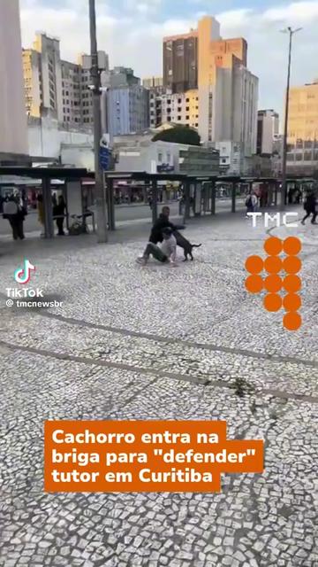 @dp